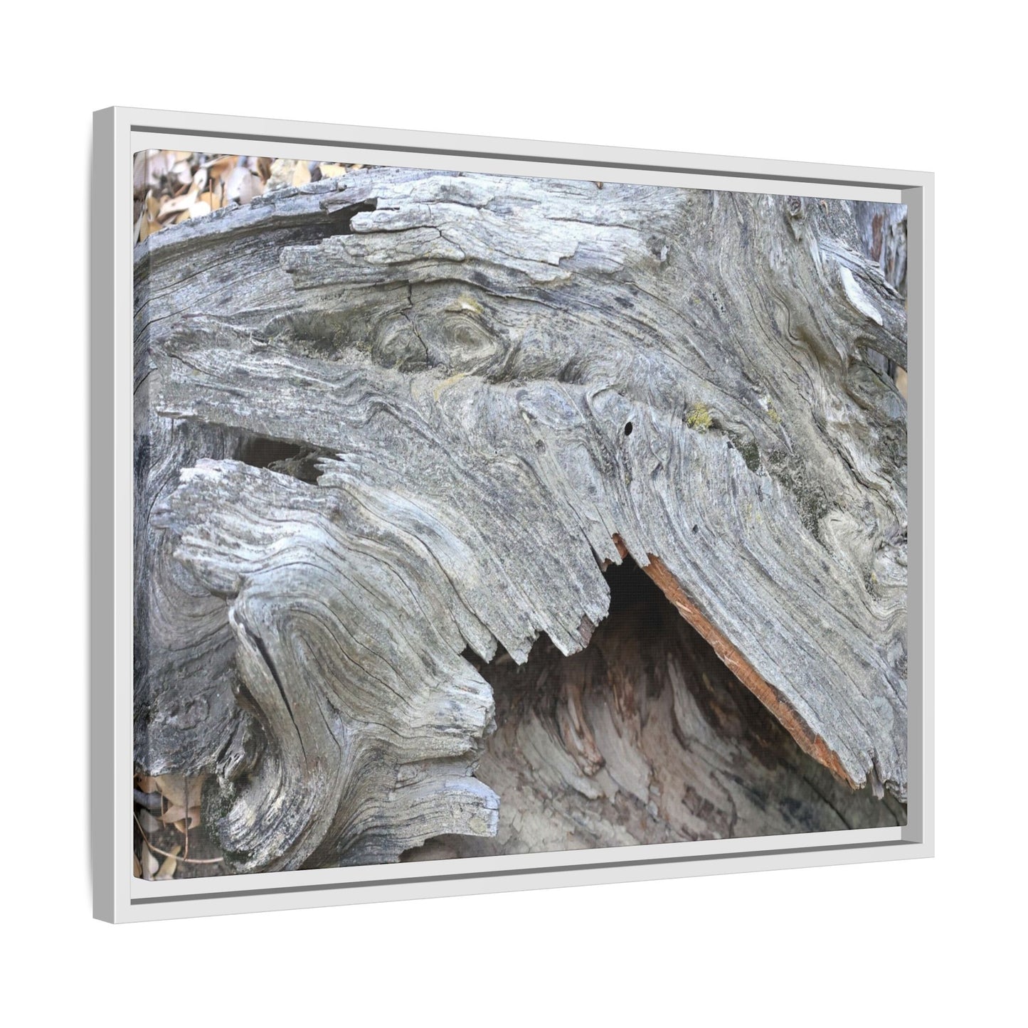 Driftwood Dreams - Unique Stretched Canvas Wall Art - Art By Earth