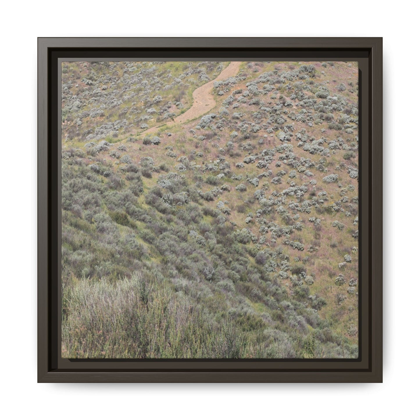 Arid Landscape with Winding Path - Unique Stretched Canvas Wall Art - Art By Earth