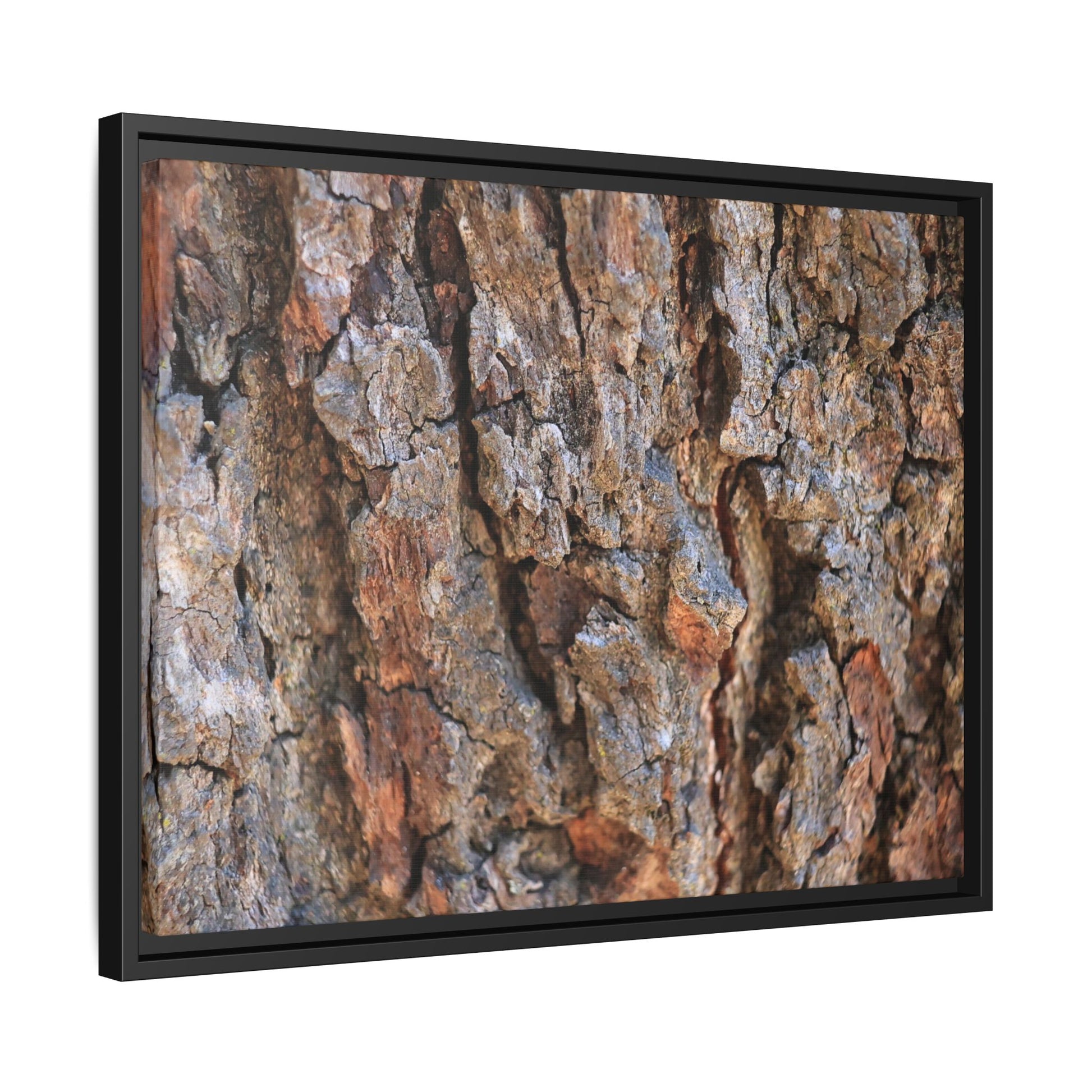 Craggy Textures - Unique Stretched Canvas Wall Art - Art By Earth