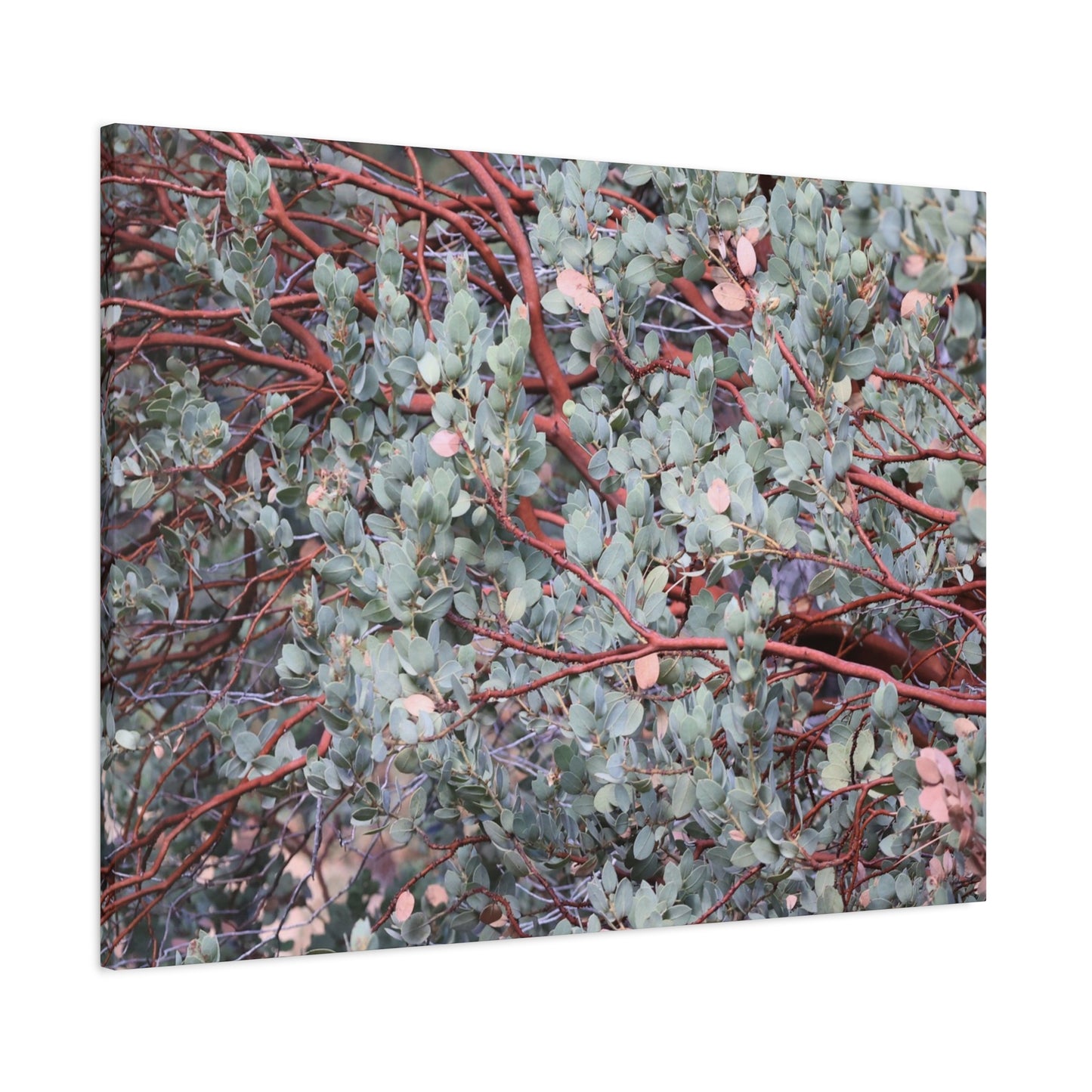 Whispers of Silver and Rust - Unique Frameless Canvas Wall Art - Art By Earth