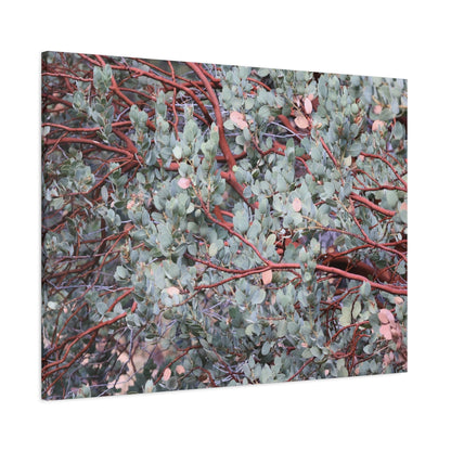 Whispers of Silver and Rust - Unique Frameless Canvas Wall Art - Art By Earth