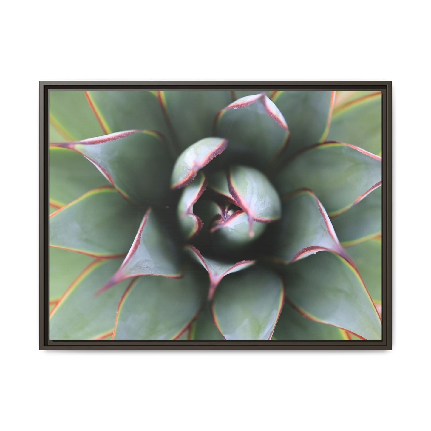 Spiky Elegance - Unique Stretched Canvas Wall Art - Art By Earth