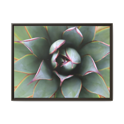 Spiky Elegance - Unique Stretched Canvas Wall Art - Art By Earth