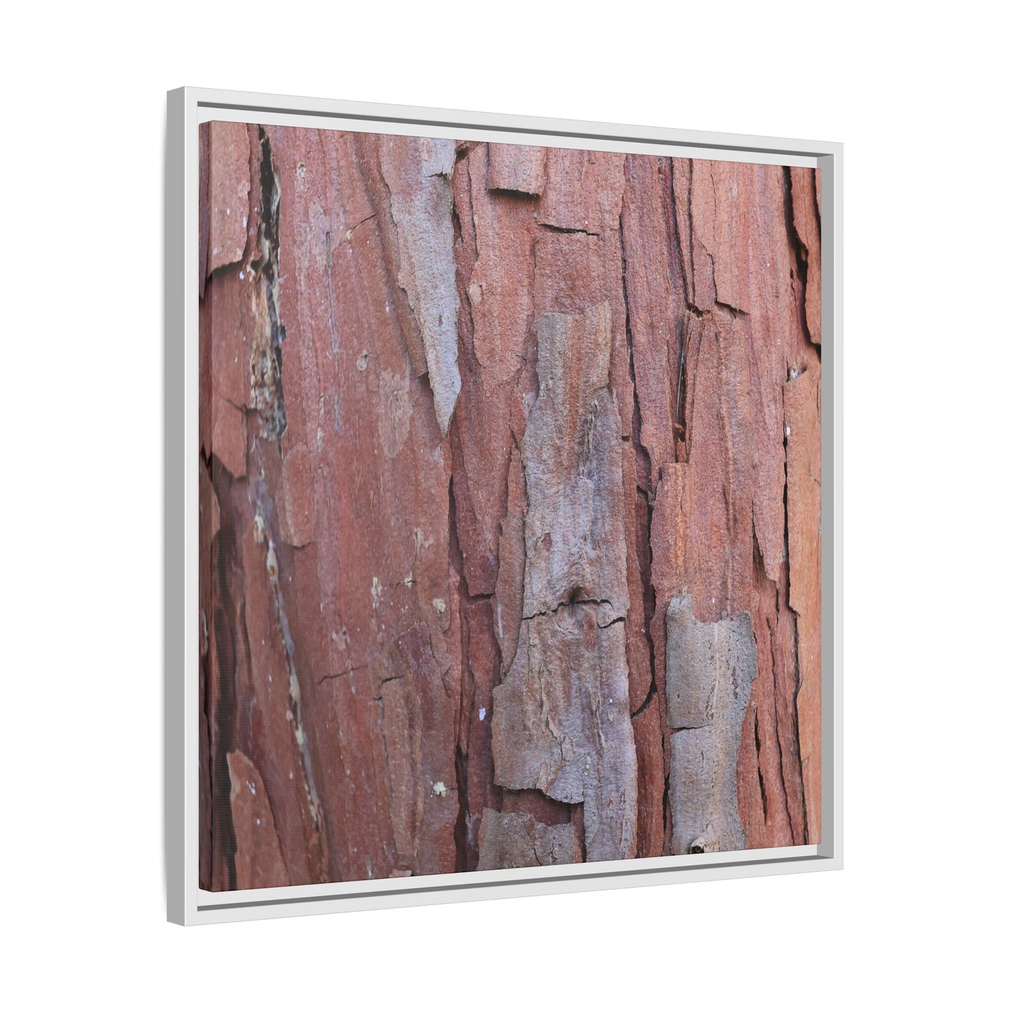 Peeling Bark - Unique Stretched Canvas Wall Art - Art By Earth