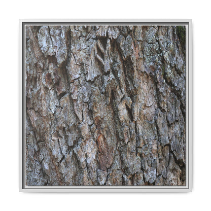 Woodland Skin - Unique Stretched Canvas Wall Art - Art By Earth