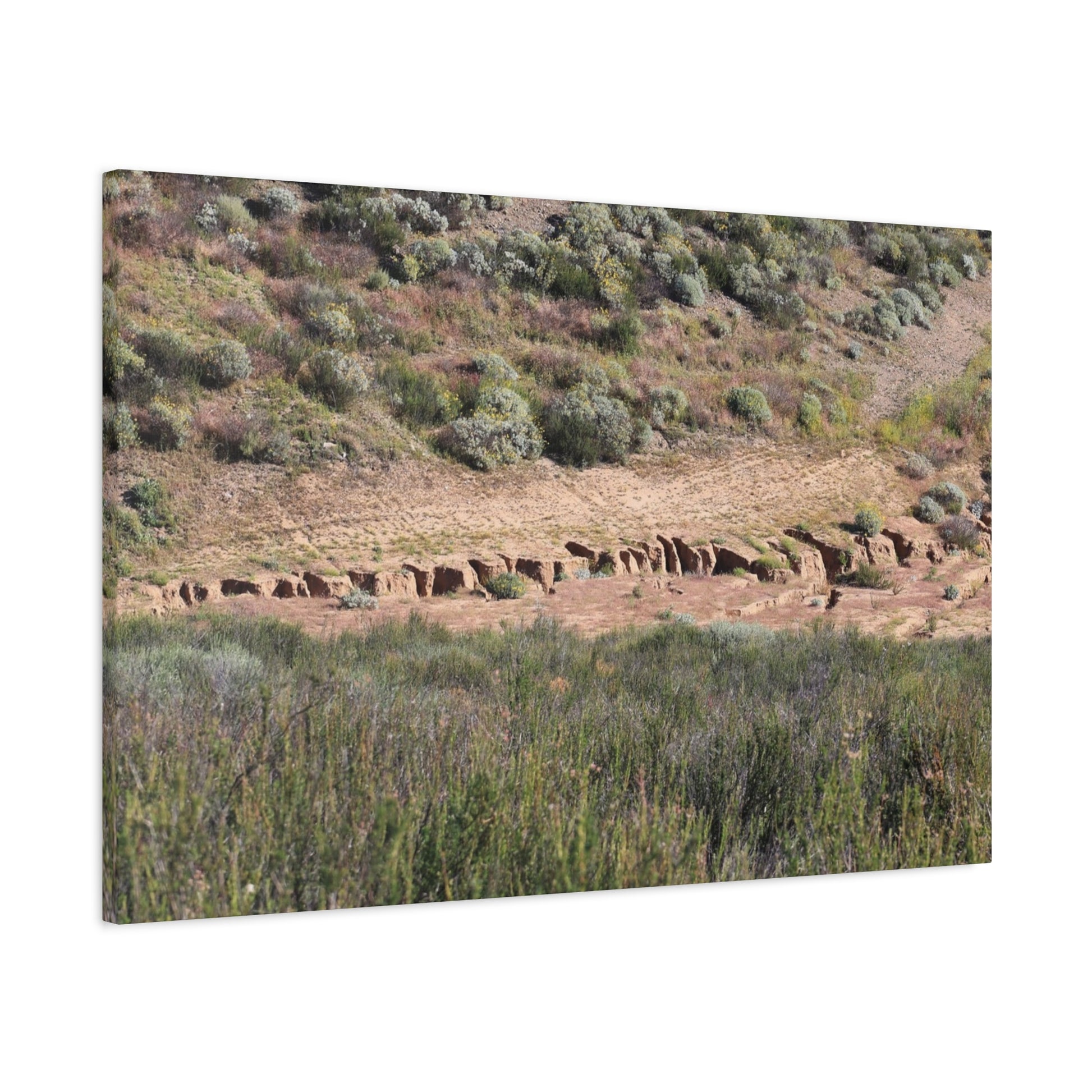 Ancient Dwellings in the Desert Valley - Unique Frameless Canvas Wall Art - Art By Earth