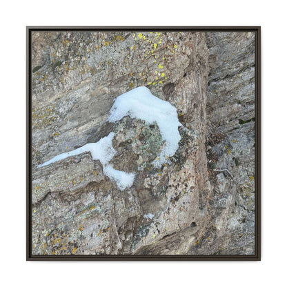 Lichen's Embrace - Unique Stretched Canvas Wall Art