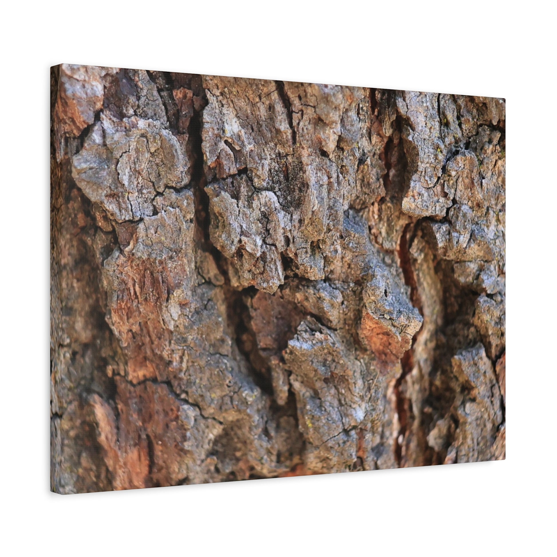 Nature's Skin - Unique Frameless Canvas Wall Art - Art By Earth