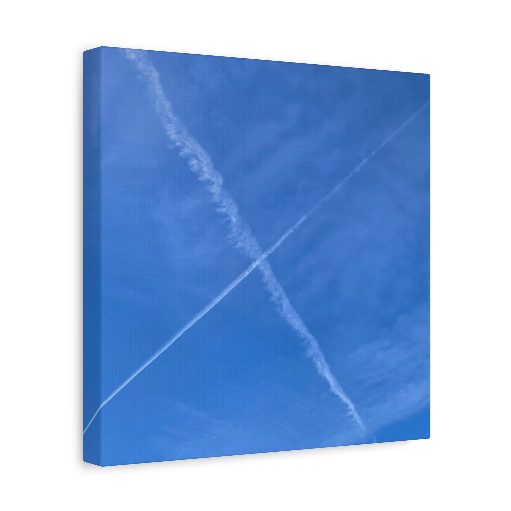 Crossing Paths - Unique Frameless Canvas Wall Art - Art By Earth