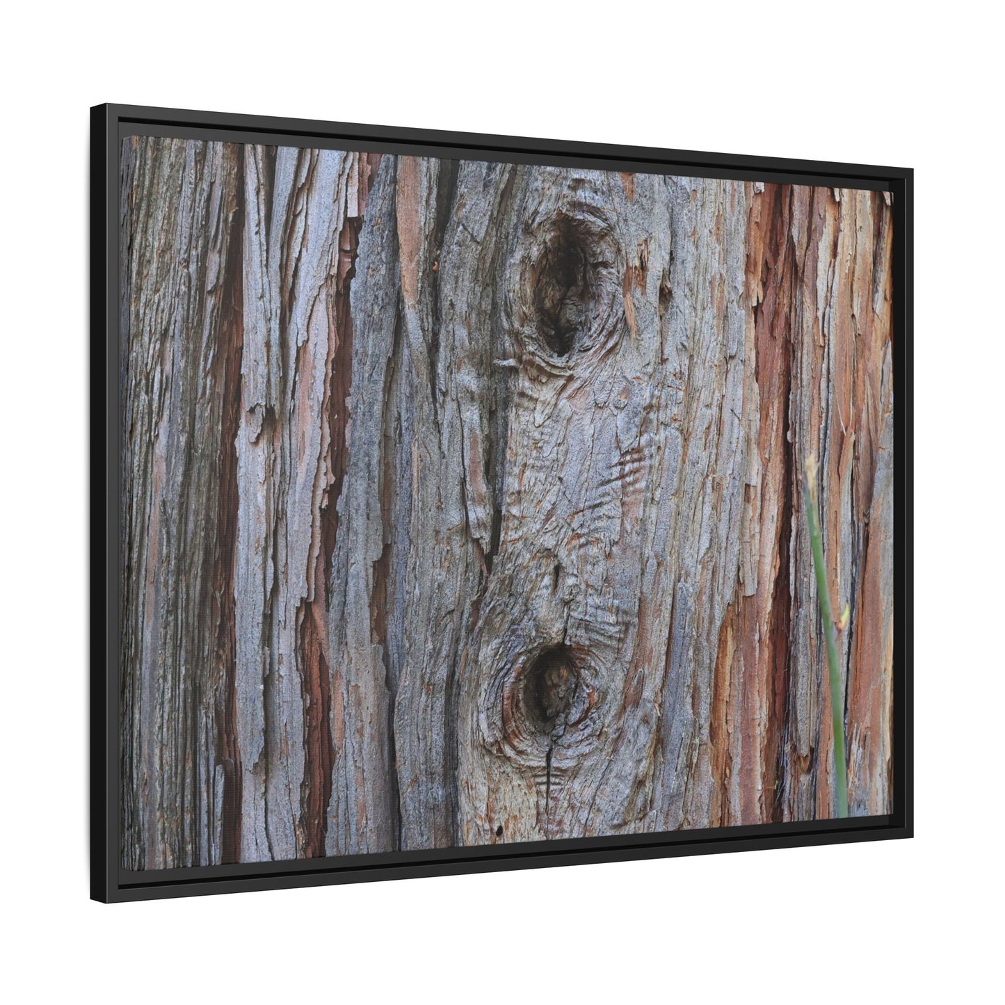 Knotty Nature - Unique Stretched Canvas Wall Art - Art By Earth