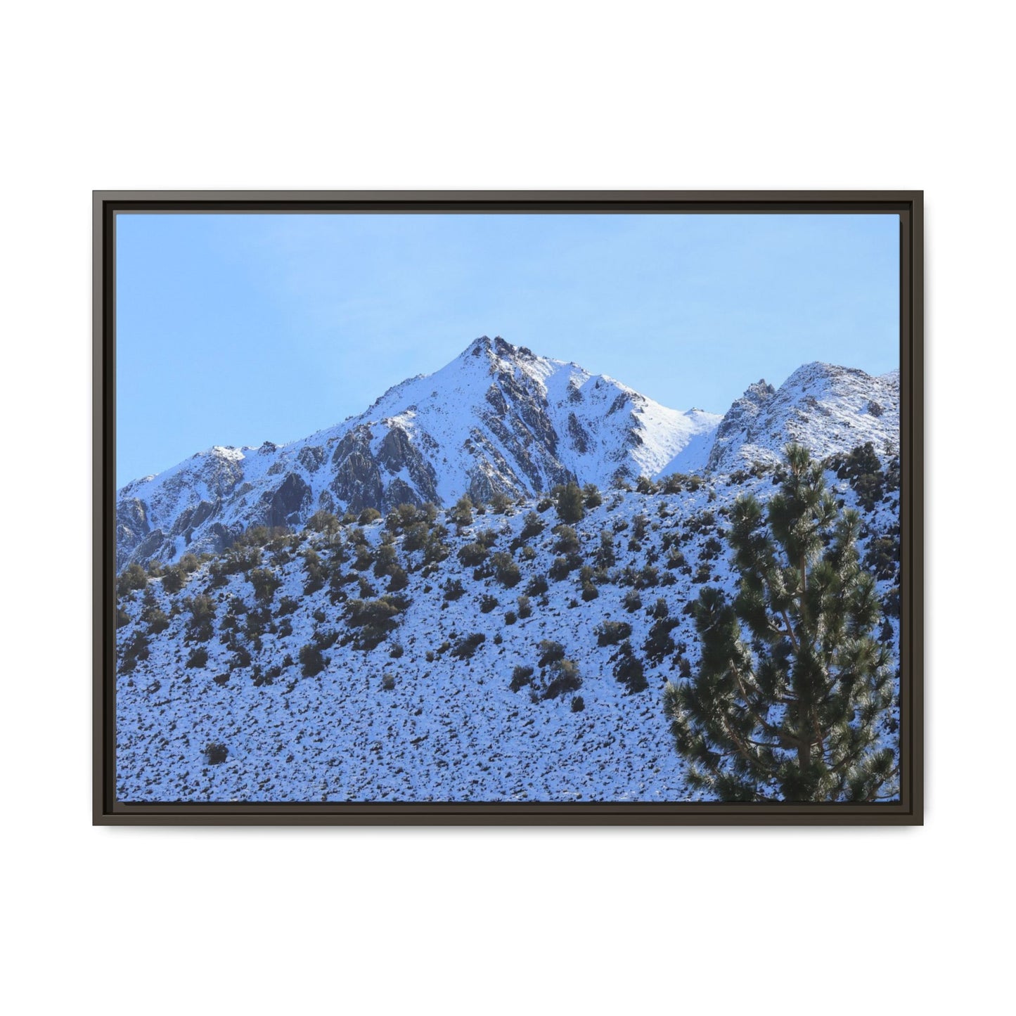 Snow's Embrace - Unique Stretched Canvas Wall Art