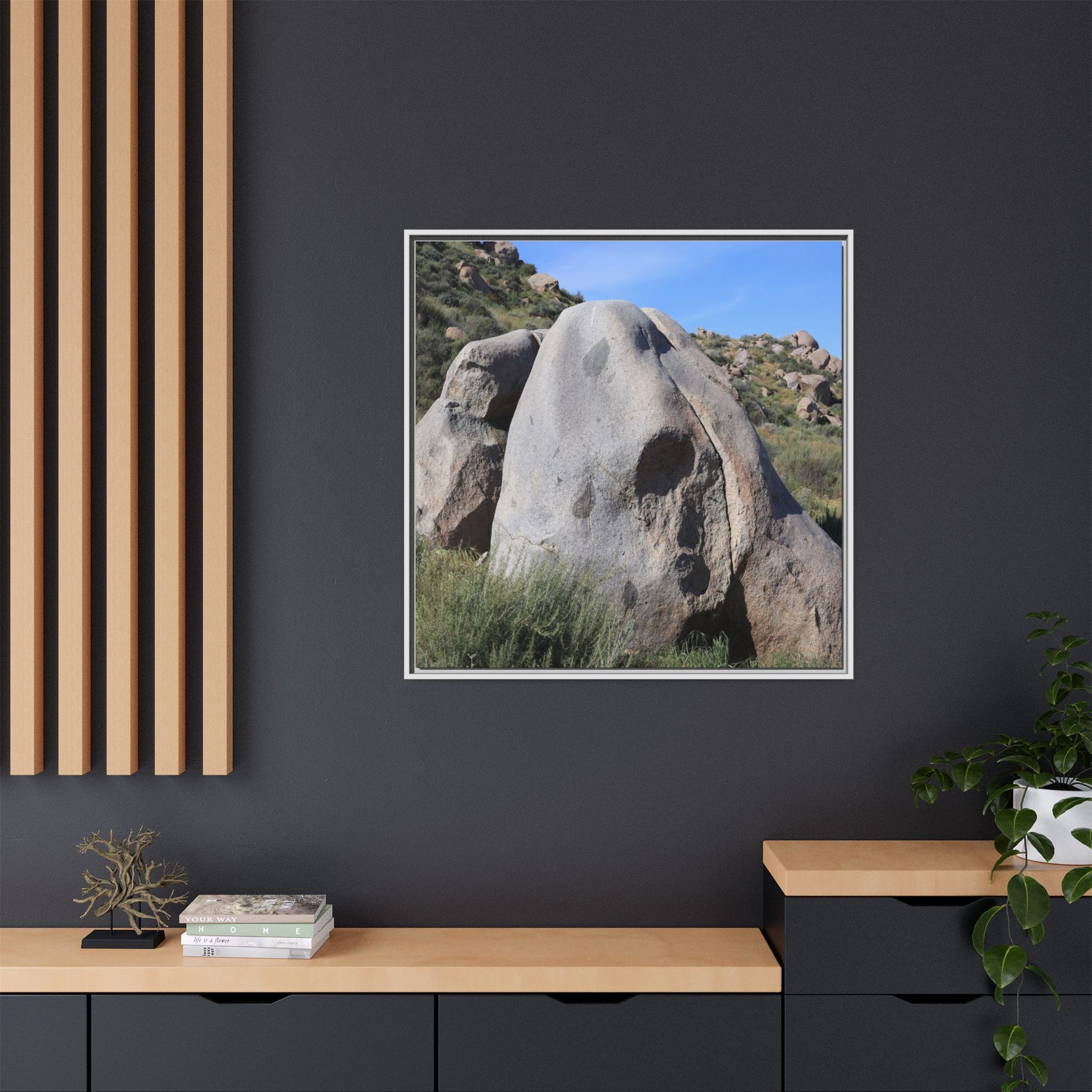 Skull Rock Desert - Unique Stretched Canvas Wall Art - Art By Earth