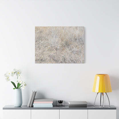 Tangled Whispers of Autumn's Fading Breath - Unique Frameless Canvas Wall Art - Art By Earth
