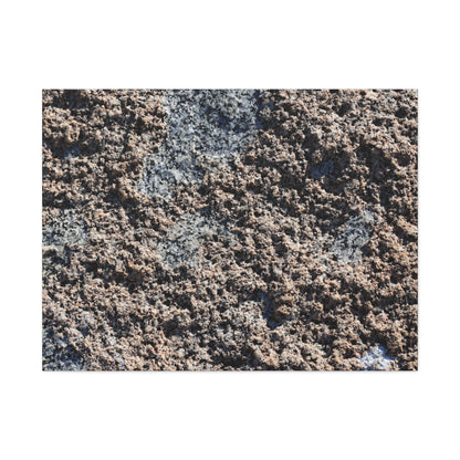 Earth's Texture - Unique Frameless Canvas Wall Art
