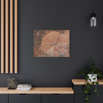 Timber Tale - Unique Frameless Canvas Wall Art - Art By Earth