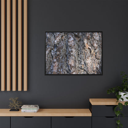Weathered Patterns - Unique Stretched Canvas Wall Art - Art By Earth