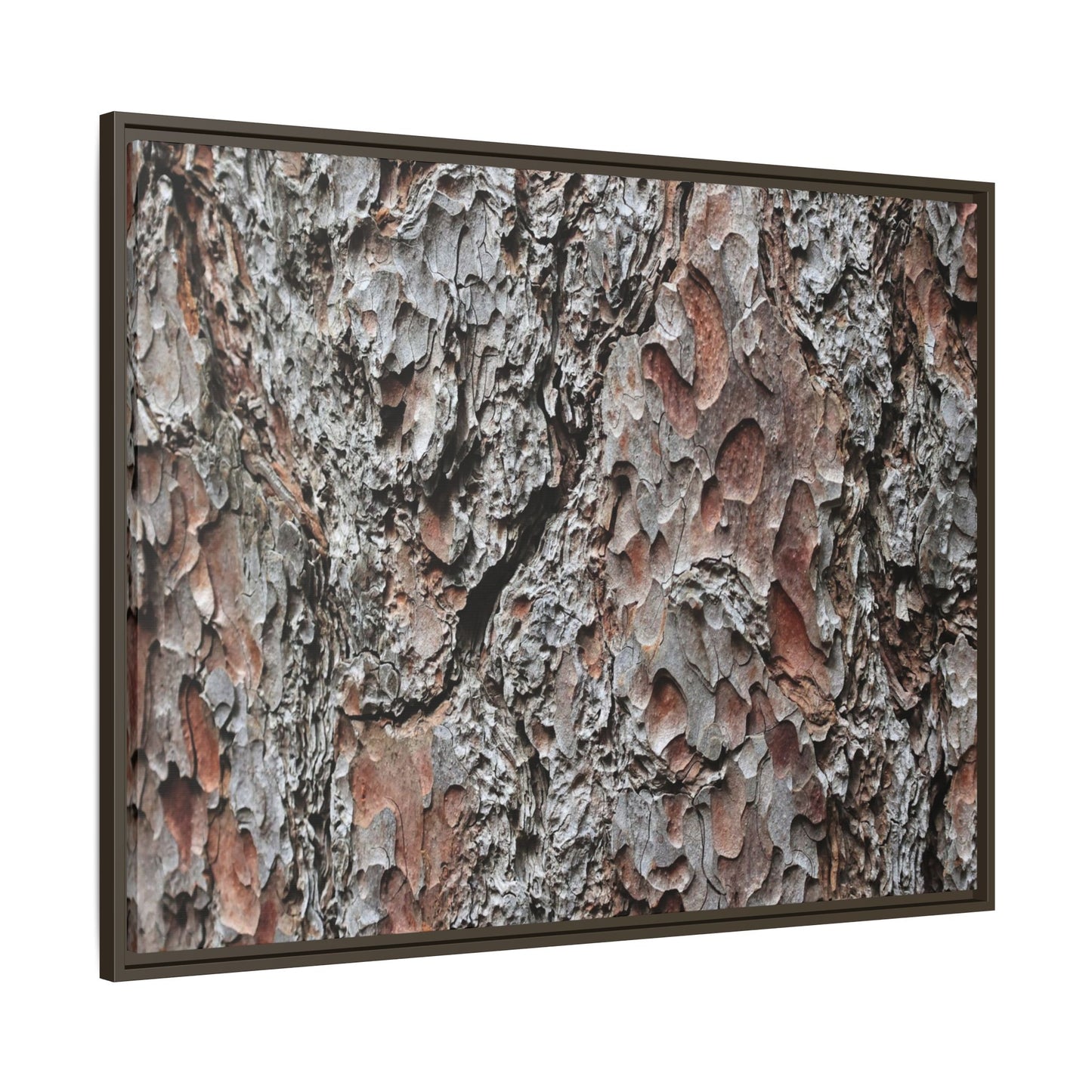 Bark Texture Symphony - Unique Stretched Canvas Wall Art - Art By Earth