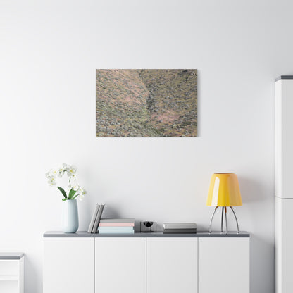 Desert Hillside - Unique Frameless Canvas Wall Art - Art By Earth