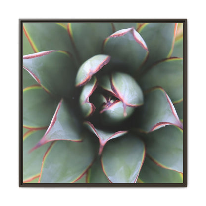 Spiky Elegance - Unique Stretched Canvas Wall Art - Art By Earth