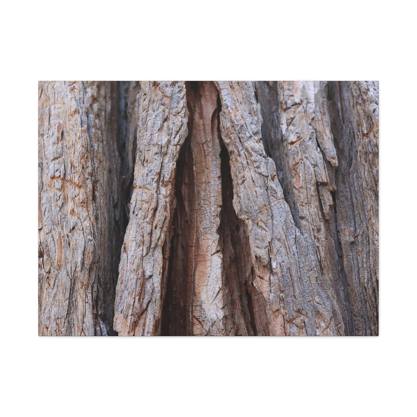 Fractured Skin of Time - Unique Frameless Canvas Wall Art - Art By Earth