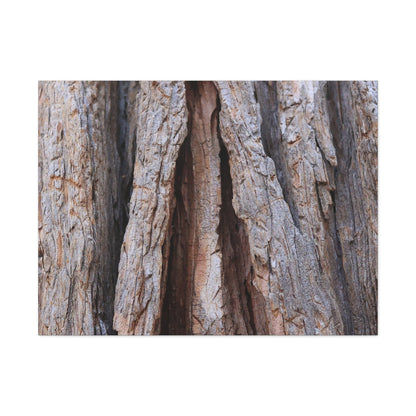 Fractured Skin of Time - Unique Frameless Canvas Wall Art - Art By Earth