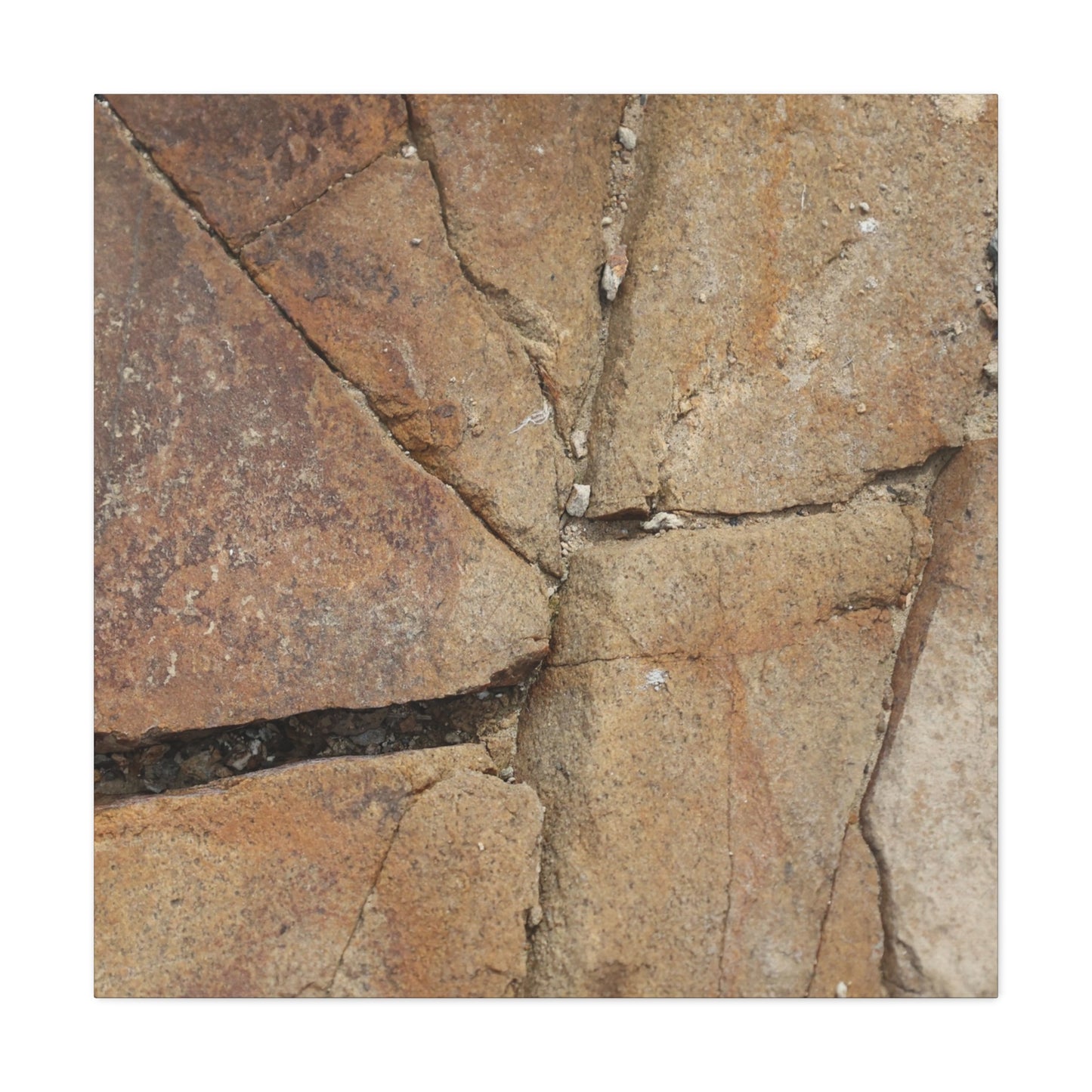 Cracked Earth's Canvas - Unique Frameless Canvas Wall Art - Art By Earth