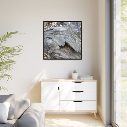 Driftwood Dreams - Unique Stretched Canvas Wall Art - Art By Earth