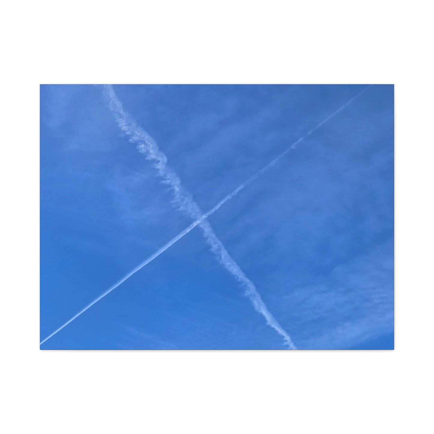 Crossing Paths - Unique Frameless Canvas Wall Art - Art By Earth