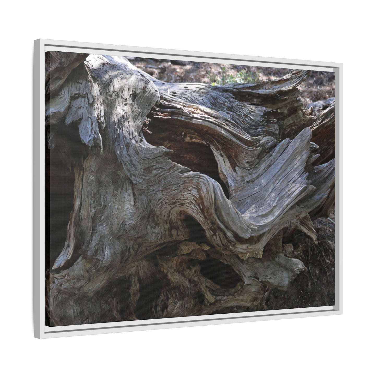 Twisted Memories - Unique Stretched Canvas Wall Art - Art By Earth