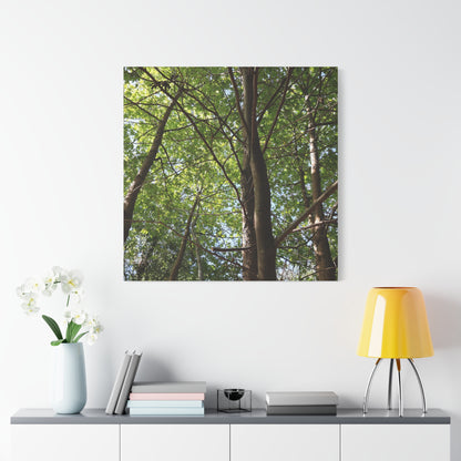 Canopy of Light - Unique Frameless Canvas Wall Art
