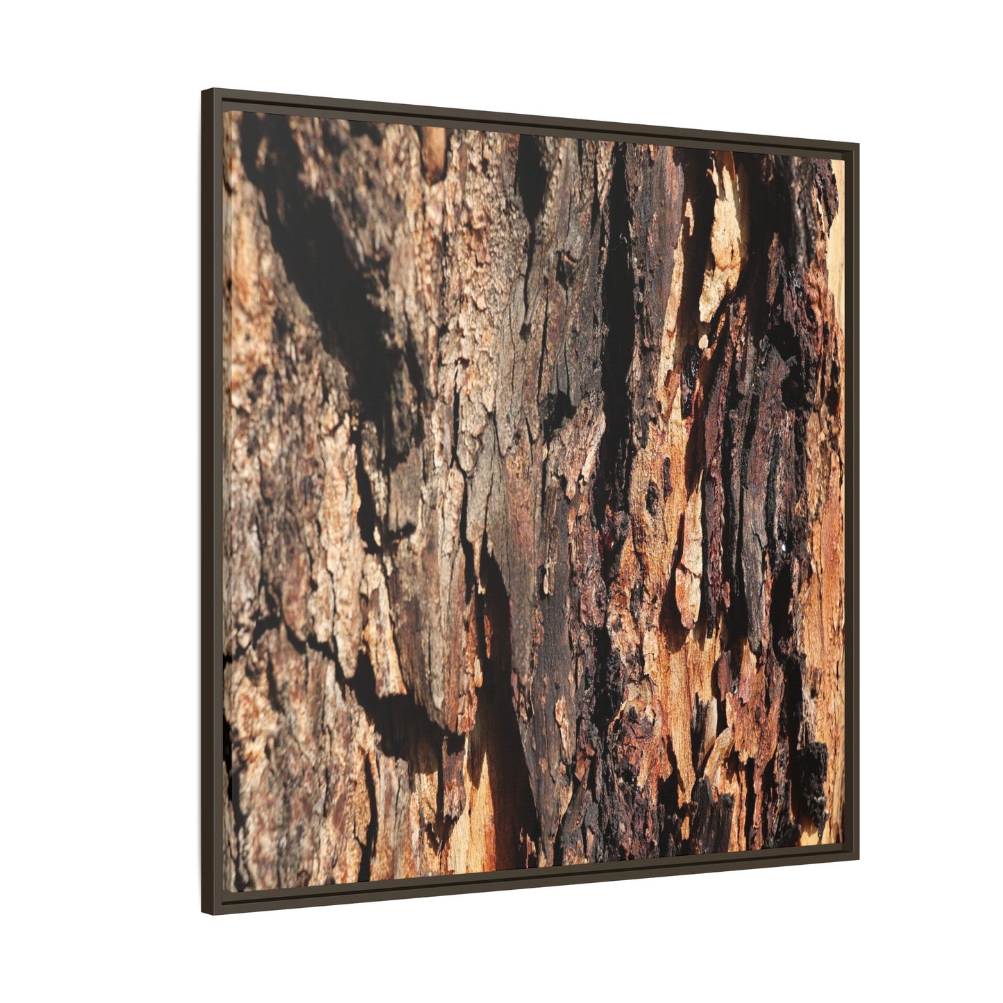 Rugged Beauty - Unique Stretched Canvas Wall Art - Art By Earth