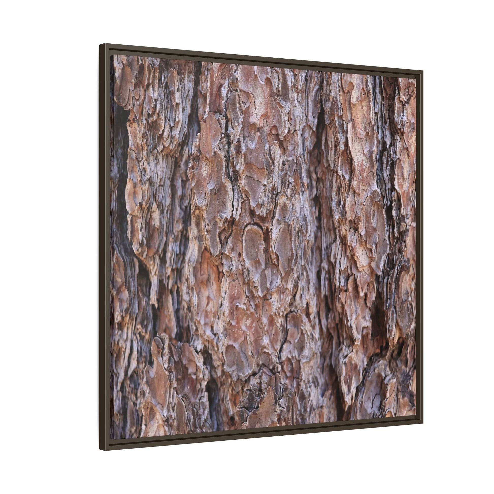 Woody Layers - Unique Stretched Canvas Wall Art - Art By Earth
