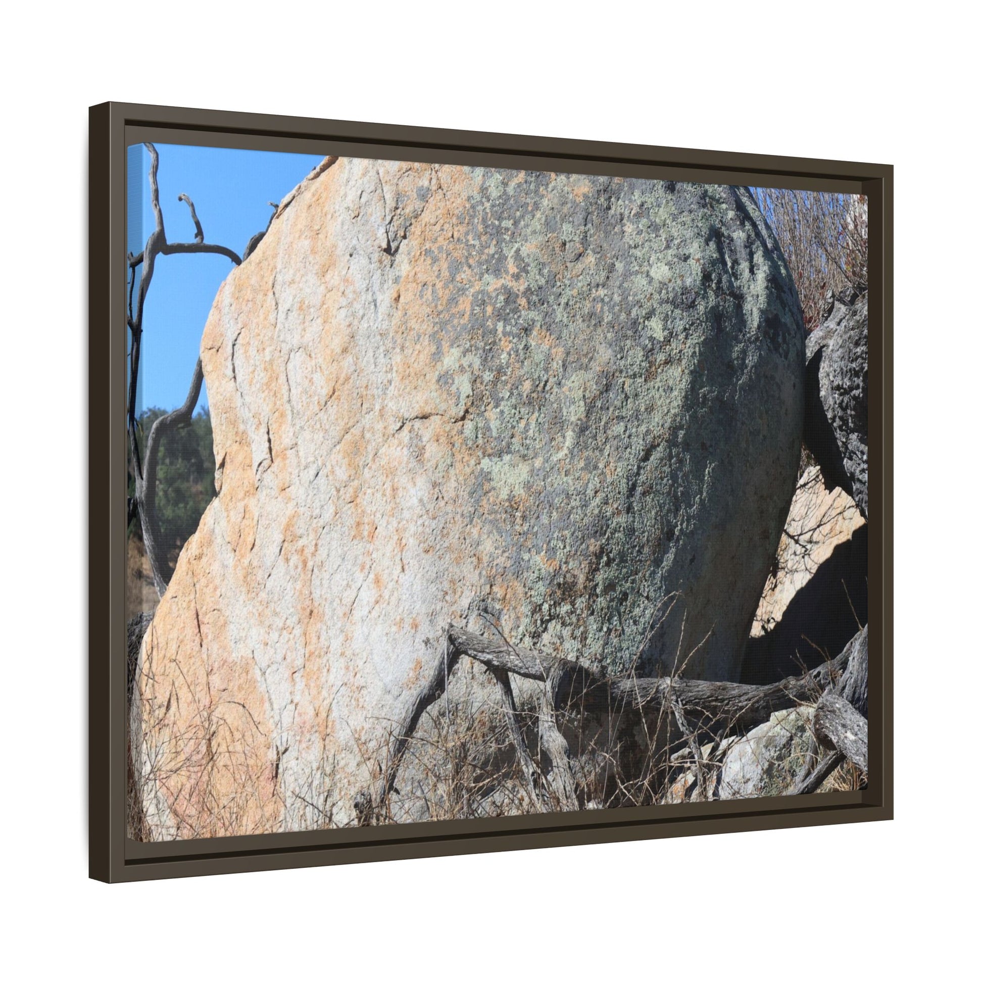 Stony Sentinel - Unique Stretched Canvas Wall Art - Art By Earth