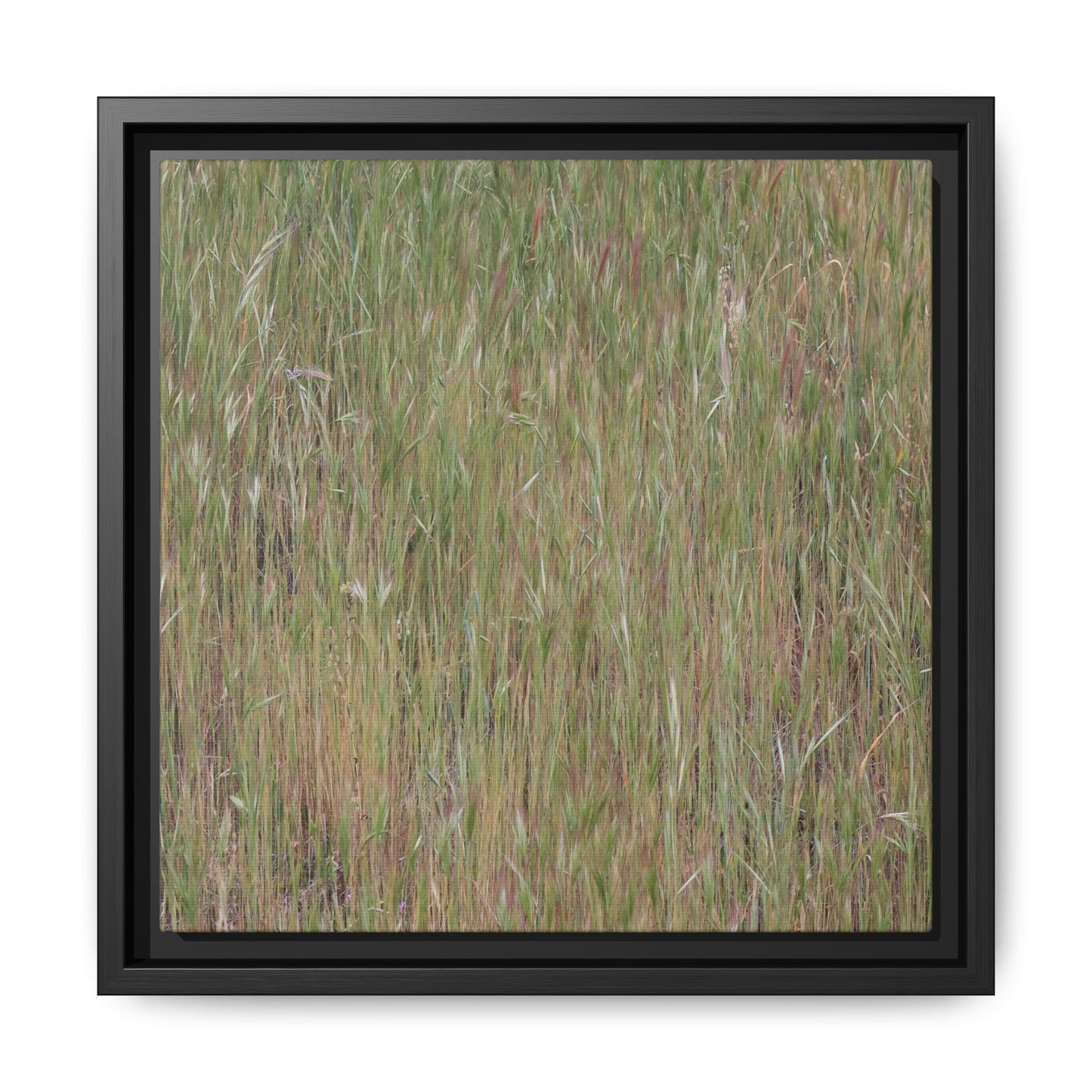 Field of Dreams - Unique Stretched Canvas Wall Art - Art By Earth