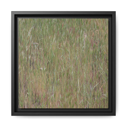 Field of Dreams - Unique Stretched Canvas Wall Art - Art By Earth