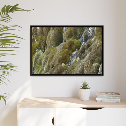 Moss Symphony - Unique Stretched Canvas Wall Art