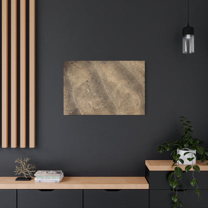 Shallow Waters - Unique Frameless Canvas Wall Art - Art By Earth