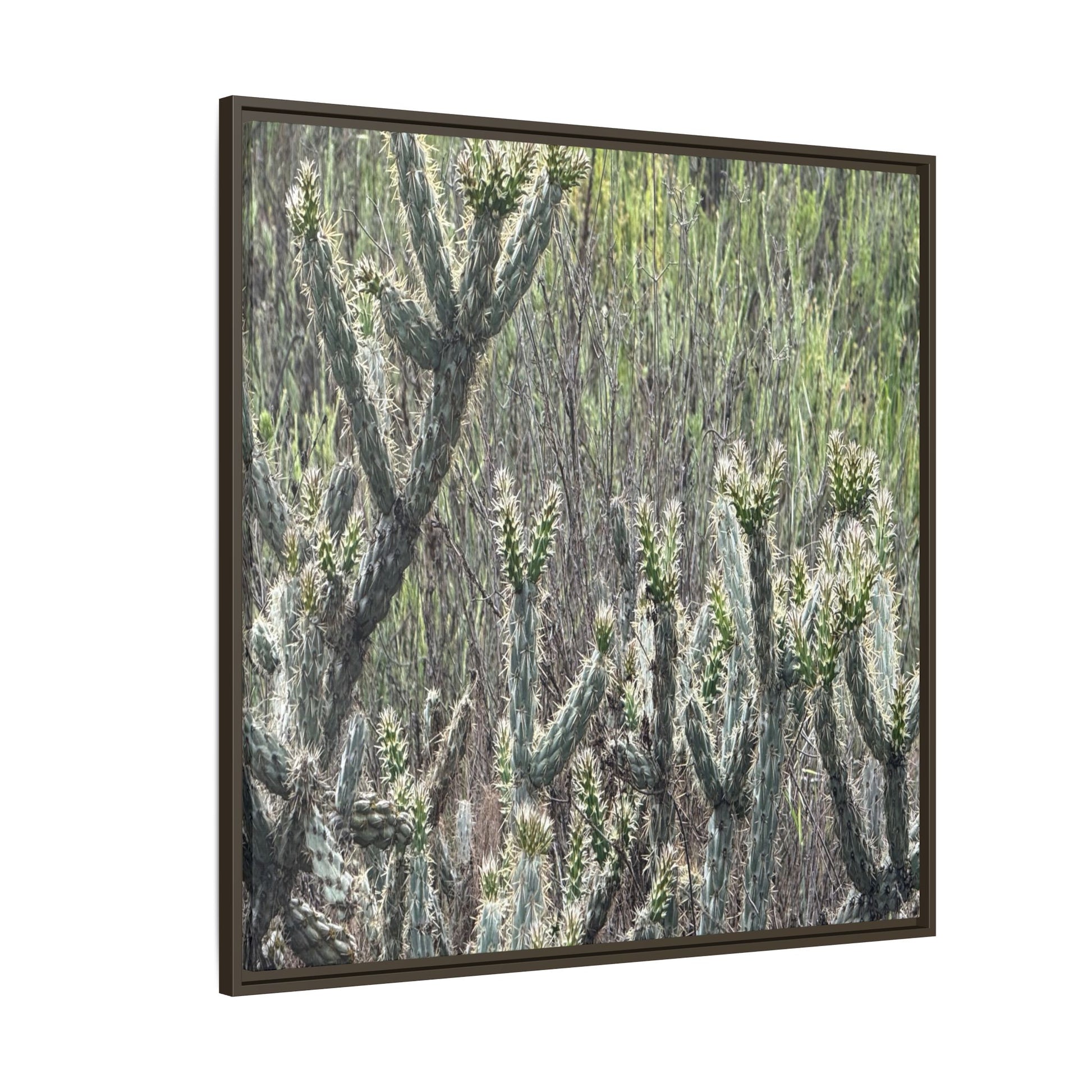 Prickly Paradise - Unique Stretched Canvas Wall Art - Art By Earth