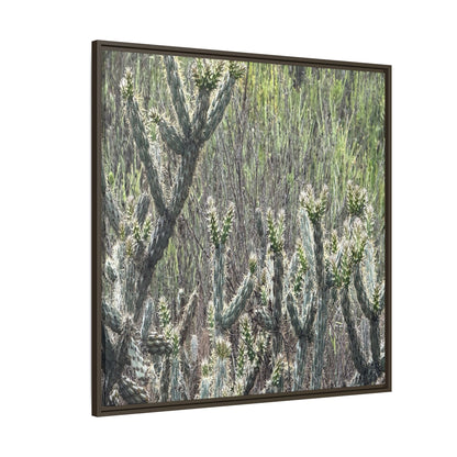 Prickly Paradise - Unique Stretched Canvas Wall Art - Art By Earth