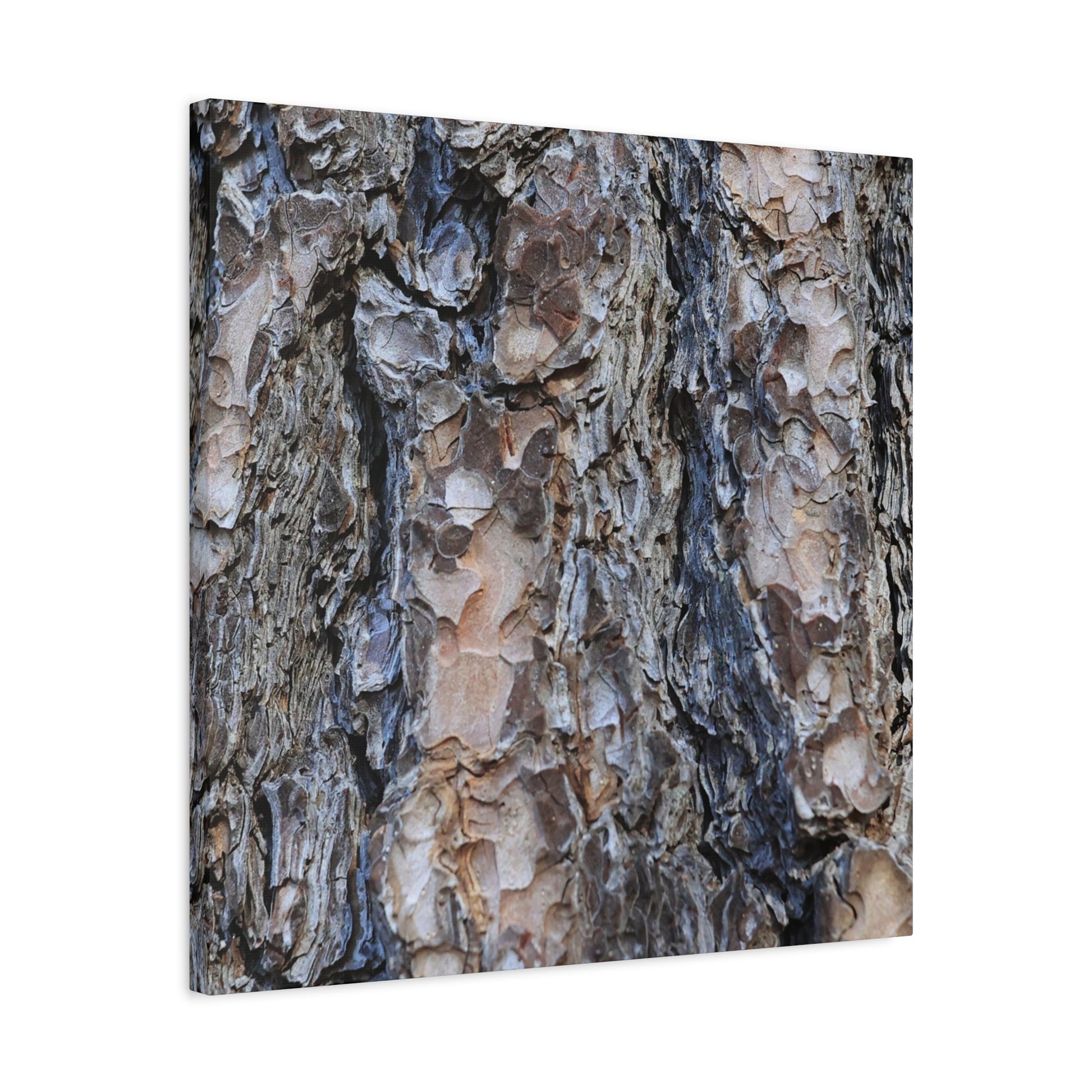 Arboreal Patterns - Unique Frameless Canvas Wall Art - Art By Earth