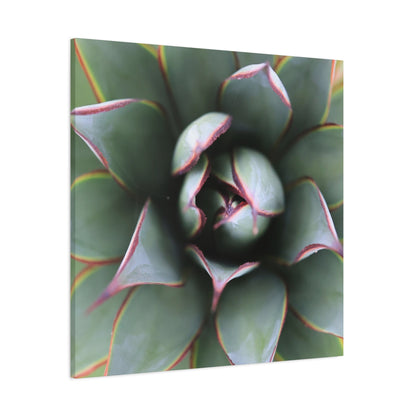 Emerald Spiral - Unique Frameless Canvas Wall Art - Art By Earth