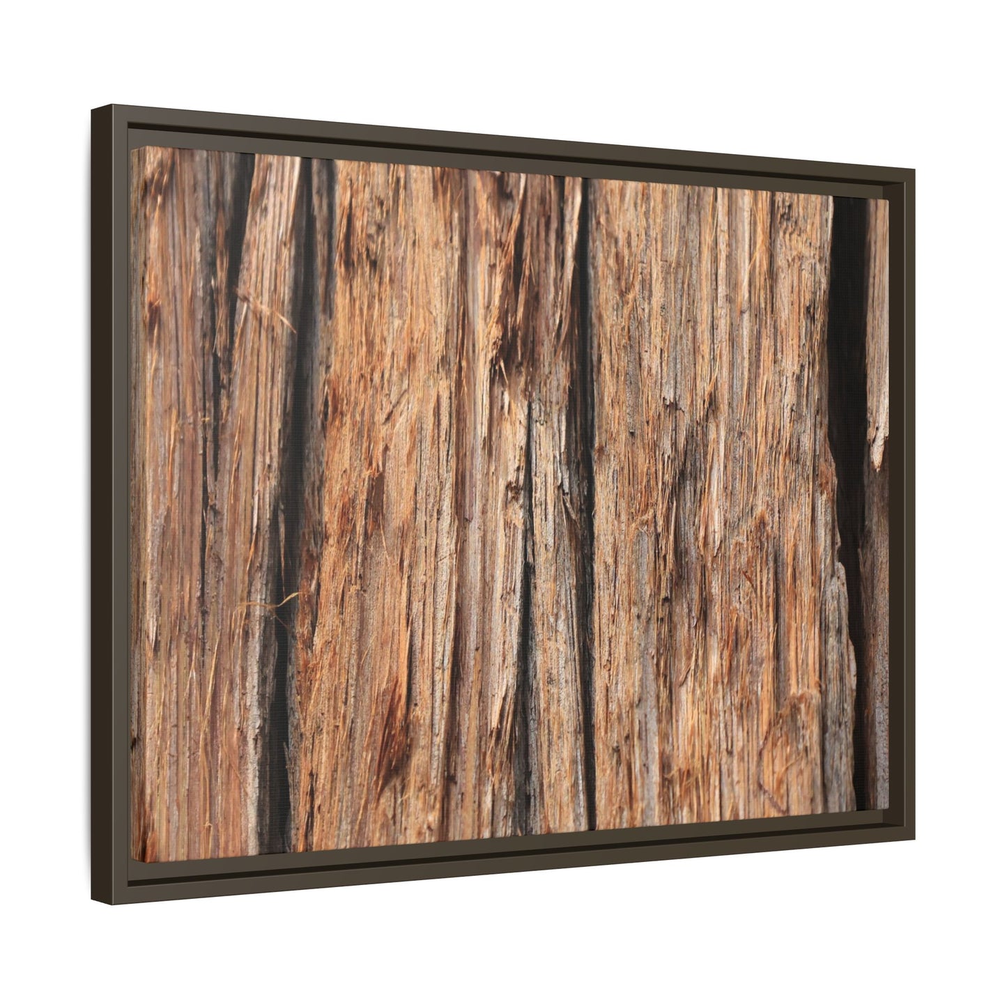 Timber Echoes - Unique Stretched Canvas Wall Art - Art By Earth