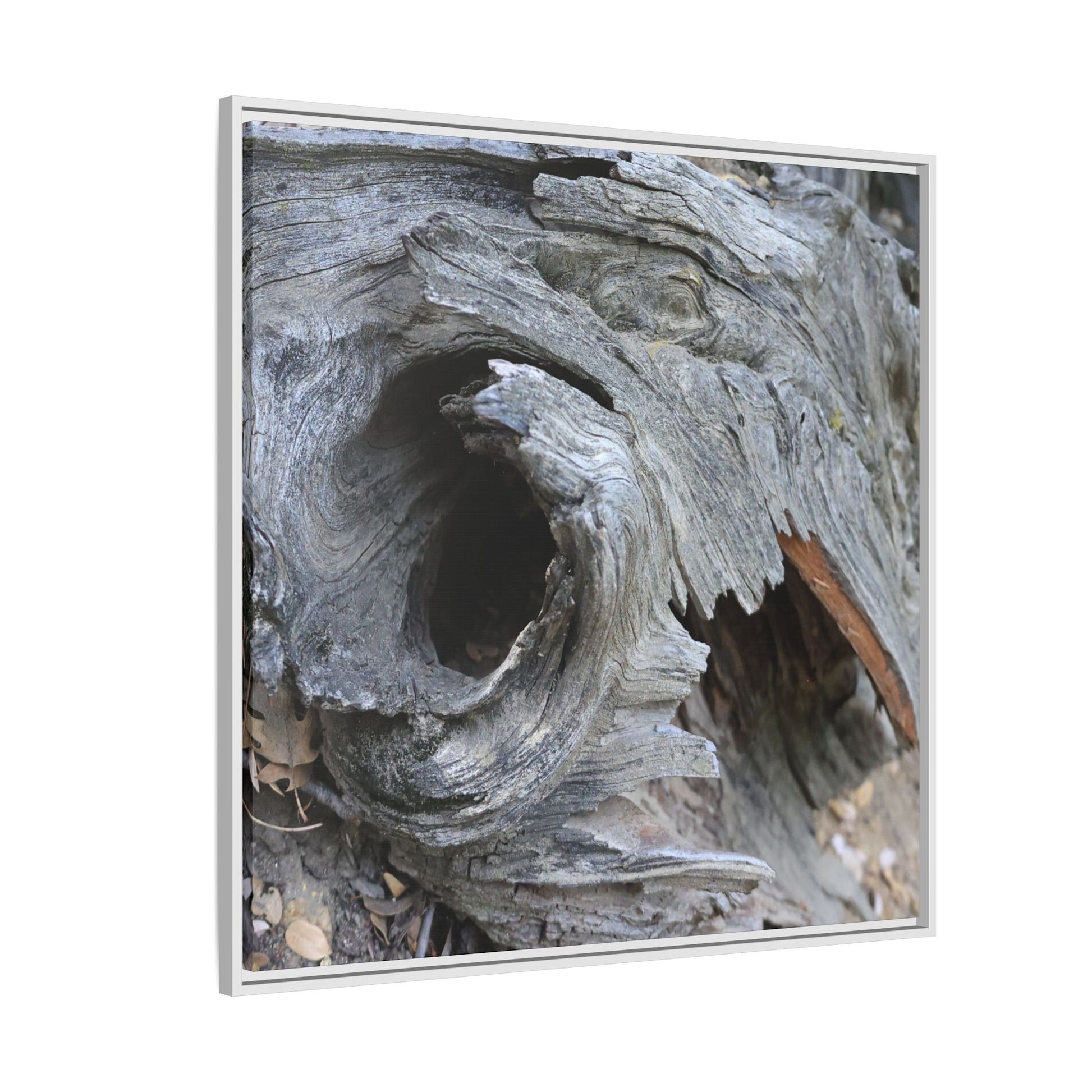 Bark's Labyrinth - Unique Stretched Canvas Wall Art - Art By Earth