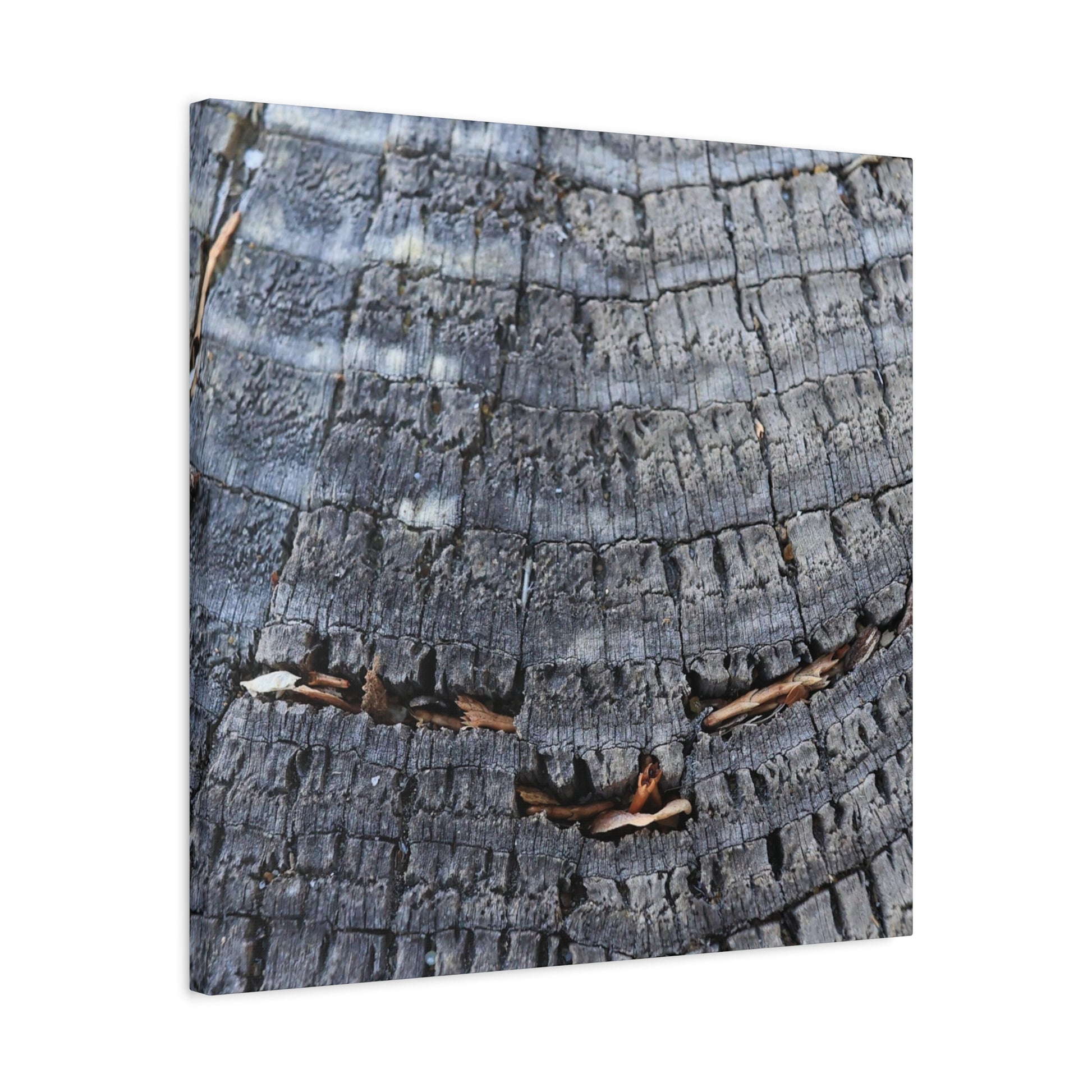 Time's Fractal Whispers - Unique Frameless Canvas Wall Art - Art By Earth