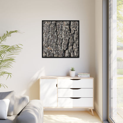 Bark Study in Gray - Unique Stretched Canvas Wall Art - Art By Earth