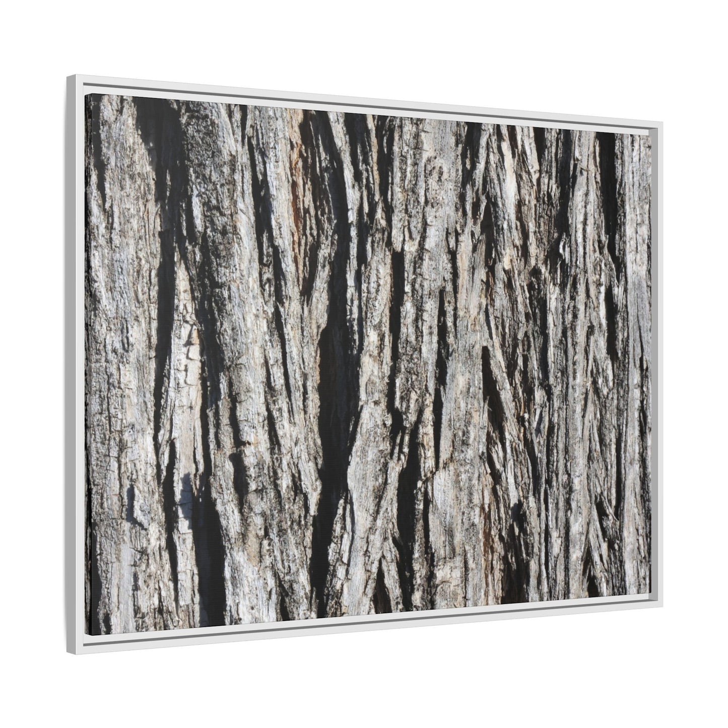 Bark Lines - Unique Stretched Canvas Wall Art - Art By Earth
