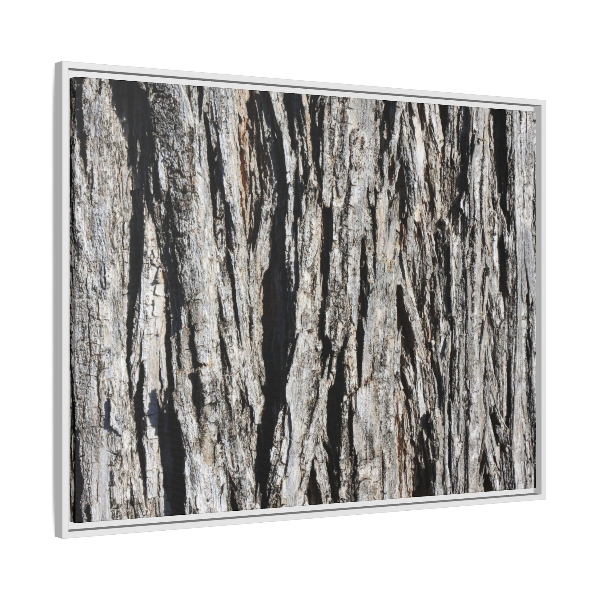 Bark Lines - Unique Stretched Canvas Wall Art - Art By Earth