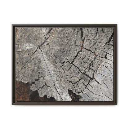 Time's Signature - Unique Stretched Canvas Wall Art - Art By Earth