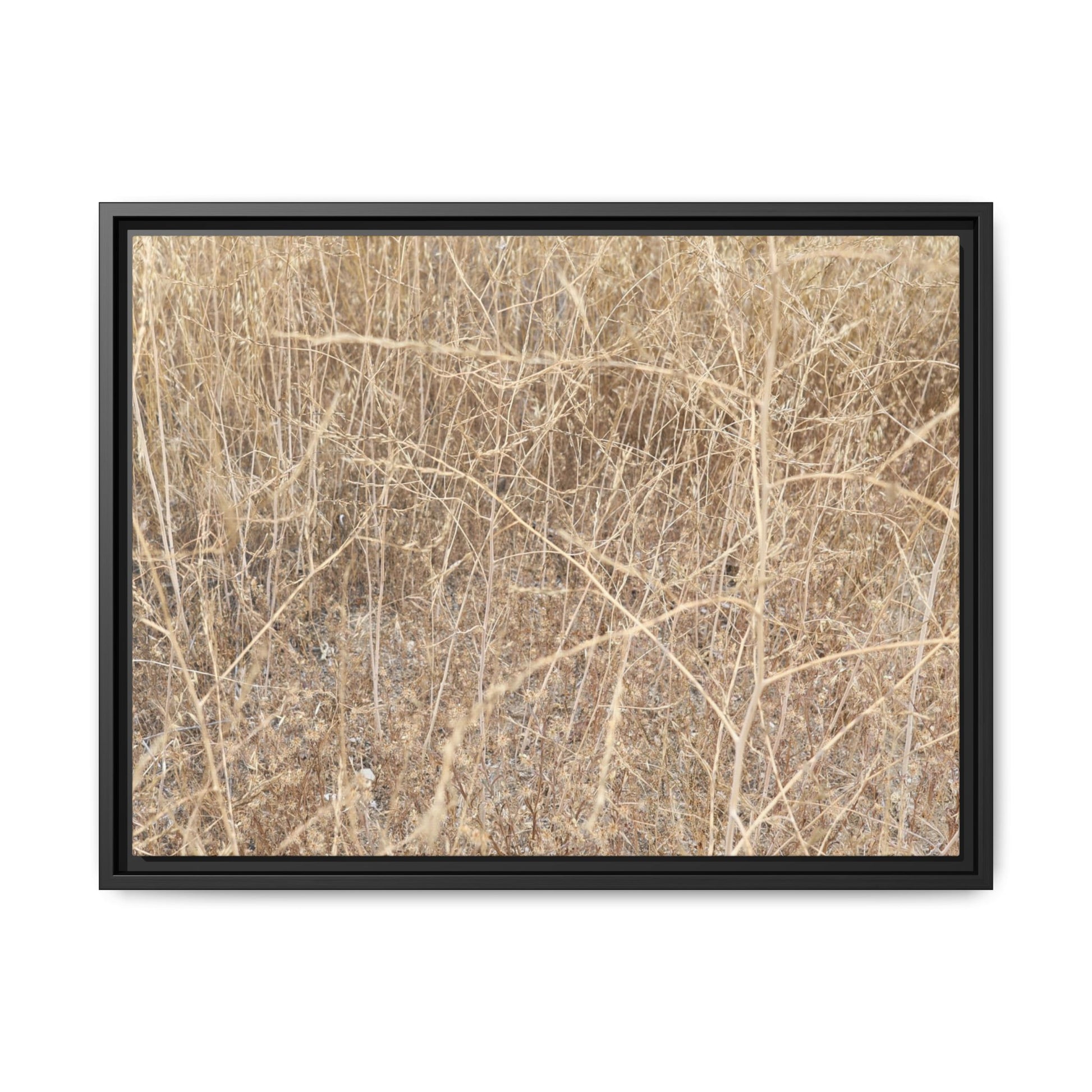Golden Stalks - Unique Stretched Canvas Wall Art - Art By Earth