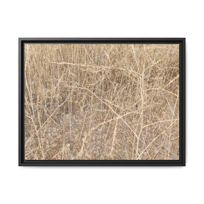 Golden Stalks - Unique Stretched Canvas Wall Art - Art By Earth